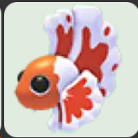 Orange Betta Fish ▪️Common🐸Rare🚀Pets⚡24/7 Online🚀