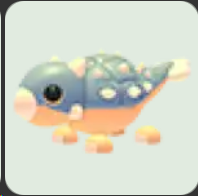 Ankylosaurus ▪️Common🐸Rare🚀Pets⚡24/7 Online🚀