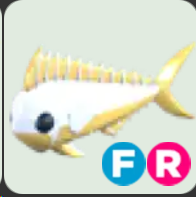 Gold Mahi Mahi ▪️FR🐸Ultra-Rare🚀Pets⚡24/7 Online🚀