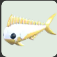 Gold Mahi Mahi ▪️Common🐸Ultra-Rare🚀Pets⚡24/7 Online🚀