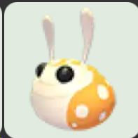 Hopbop ▪️Common🐸Common🚀Pets⚡24/7 Online🚀