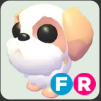 Shih Tzu ▪️FR🐸Uncommon🚀Pets⚡24/7 Online🚀