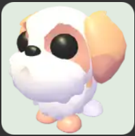 Shih Tzu ▪️Common🐸Uncommon🚀Pets⚡24/7 Online🚀