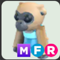 Influencer Gibbon ▪️MFR🐸Legendary🚀Pets⚡24/7 Online🚀
