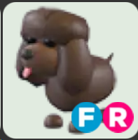 Irish Water Spaniel ▪️FR🐸Ultra-Rare🚀Pets⚡24/7 Online🚀