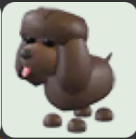 Irish Water Spaniel ▪️NFR🐸Rare🚀Pets⚡24/7 Online🚀