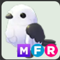 Japanese Snow Fairy ▪️MFR🐸Common🚀Pets⚡24/7 Online🚀