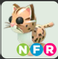 Leopard Cat ▪️NFR🐸Rare🚀Pets⚡24/7 Online🚀