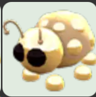 Golden Ladybug ▪️NFR🐸Legendary🚀Pets⚡24/7 Online🚀