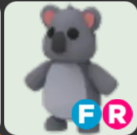Koala ▪️FR🐸Ultra-Rare🚀Pets⚡24/7 Online🚀