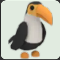 Toucan ▪️NFR🐸Rare🚀Pets⚡24/7 Online🚀