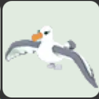 Albatross ▪️NFR🐸Rare🚀Pets⚡24/7 Online🚀