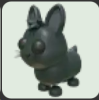Amami Rabbit ▪️NFR🐸Common🚀Pets⚡24/7 Online🚀