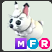 Arctic Hare ▪️MFR🐸Uncommon🚀Pets⚡24/7 Online🚀