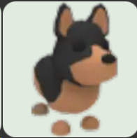 Australian Kelpie ▪️NFR🐸Rare🚀Pets⚡24/7 Online🚀