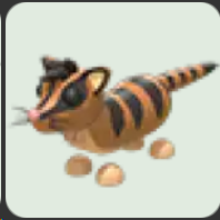 Banded Palm Civet ▪️NFR🐸Common🚀Pets⚡24/7 Online🚀