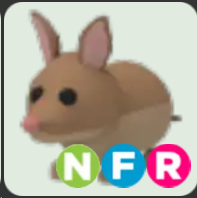 Bandicoot ▪️NFR🐸Common🚀Pets⚡24/7 Online🚀