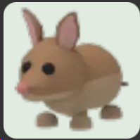 Bandicoot ▪️NFR🐸Common🚀Pets⚡24/7 Online🚀
