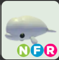 Beluga Whale ▪️NFR🐸Common🚀Pets⚡24/7 Online🚀