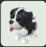 Black Springer Spaniel ▪️NFR🐸Rare🚀Pets⚡24/7 Online🚀