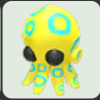 Blue Ringed Octopus ▪️NFR🐸Rare🚀Pets⚡24/7 Online🚀