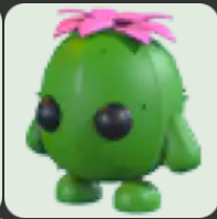 Cactus Friend ▪️NFR🐸Legendary🚀Pets⚡24/7 Online🚀