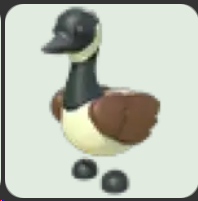 Canadian Goose ▪️Common🐸Uncommon🚀Pets⚡24/7 Online🚀