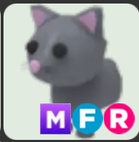 Cat ▪️MFR🐸Common🚀Pets⚡24/7 Online🚀