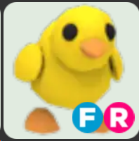 Chick ▪️FR🐸Common🚀Pets⚡24/7 Online🚀