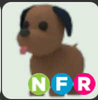 Chocolate Labrador ▪️NFR🐸Uncommon🚀Pets⚡24/7 Online🚀