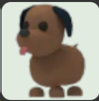 Chocolate Labrador ▪️NFR🐸Common🚀Pets⚡24/7 Online🚀