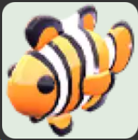 Clownfish ▪️NFR🐸Rare🚀Pets⚡24/7 Online🚀