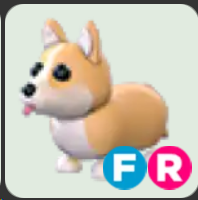 Corgi ▪️FR🐸Ultra-Rare🚀Pets⚡24/7 Online🚀