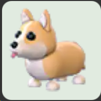 Corgi ▪️NFR🐸Rare🚀Pets⚡24/7 Online🚀