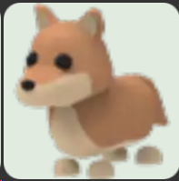 Dingo ▪️NFR🐸Common🚀Pets⚡24/7 Online🚀