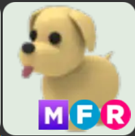 Dog ▪️MFR🐸Common🚀Pets⚡24/7 Online🚀