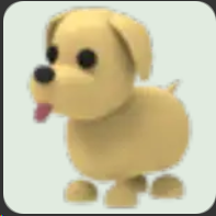 Dog ▪️NFR🐸Common🚀Pets⚡24/7 Online🚀