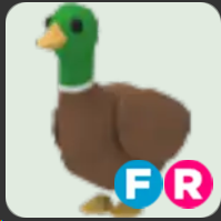 Drake ▪️FR🐸Uncommon🚀Pets⚡24/7 Online🚀