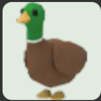 Drake ▪️NFR🐸Common🚀Pets⚡24/7 Online🚀