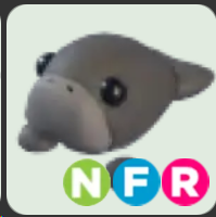 Dugong ▪️NFR🐸Common🚀Pets⚡24/7 Online🚀