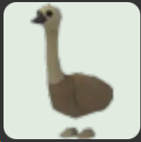 Emu ▪️NFR🐸Rare🚀Pets⚡24/7 Online🚀