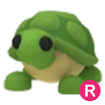 Turtle R | Adopt Me | Fast Delivery