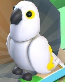 White Amazon N | Adopt Me | Fast Delivery