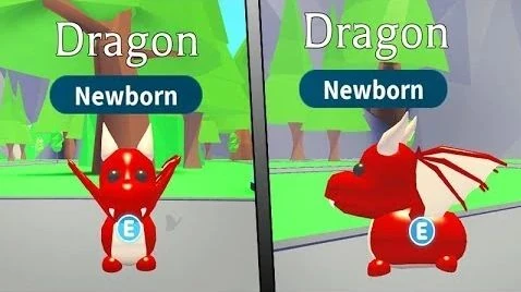 Dragon MFR | Adopt Me | Fast Delivery