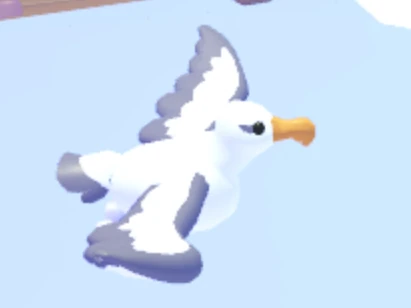 Albatross FR | Adopt Me | Fast Delivery