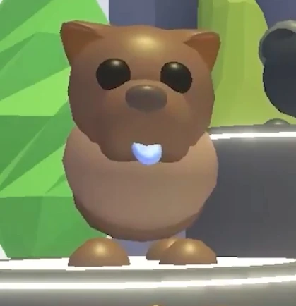 Chocolate Chow-Chow R | Adopt Me | Fast Delivery