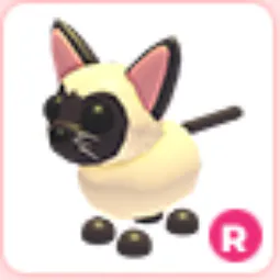 R Siamese Cat
