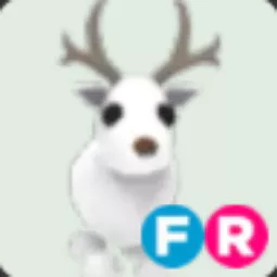 FR Arctic Reindeer