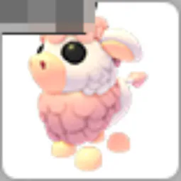 Angus Cow