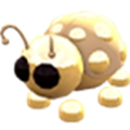 Golden Ladybug NFR | Adopt Me | Fast Delivery